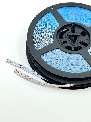 Gen 2, DC12V, 5M LED Strip and Silicone 2.5cm Cut