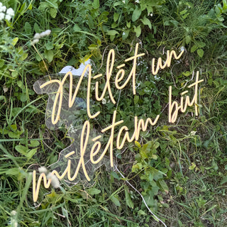 Rental LED Neon Sign Mīlēt un mīlētam būt